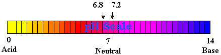 pH Scale