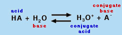 exercise and pH levels