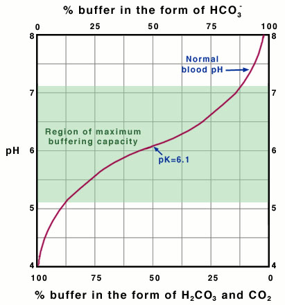 pH levels and exercise